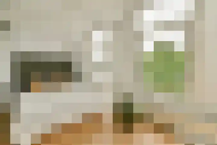 Marnixkade 26 1 Amsterdam thumbnail 4