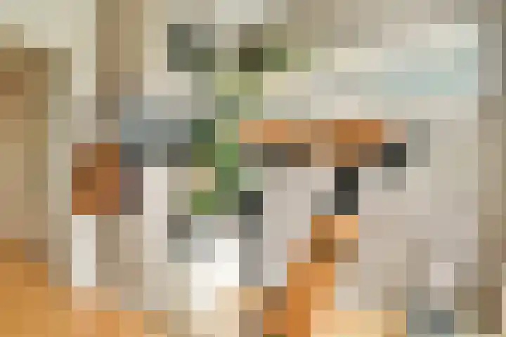 Marnixkade 26 1 Amsterdam thumbnail 9