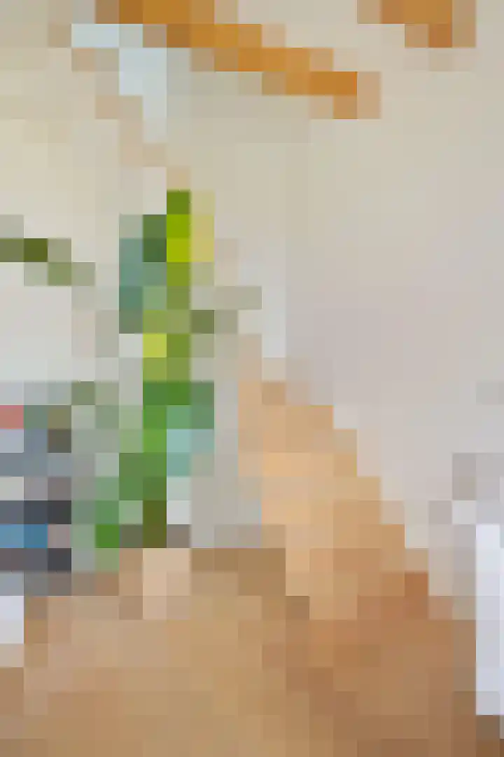Marnixkade 26 2 Amsterdam thumbnail 20