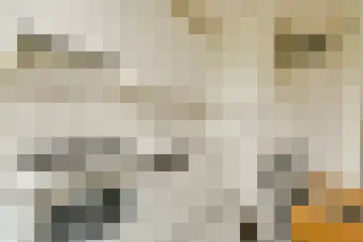 Marnixkade 27 2 Amsterdam thumbnail 10