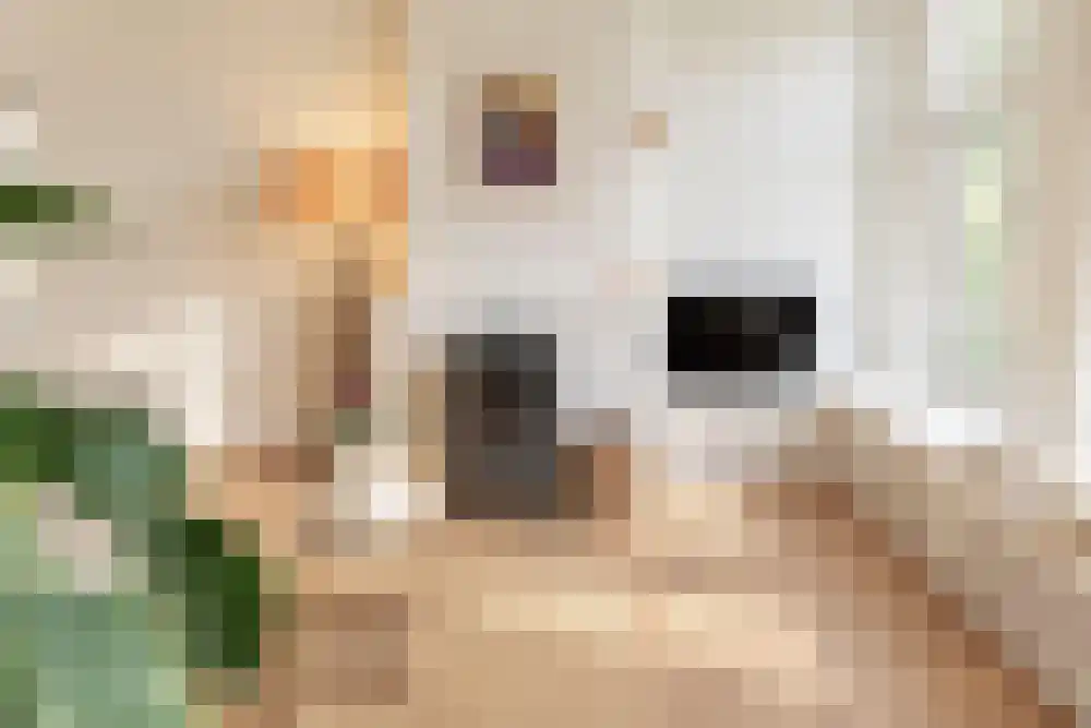 Marnixkade 31 Amsterdam thumbnail 10