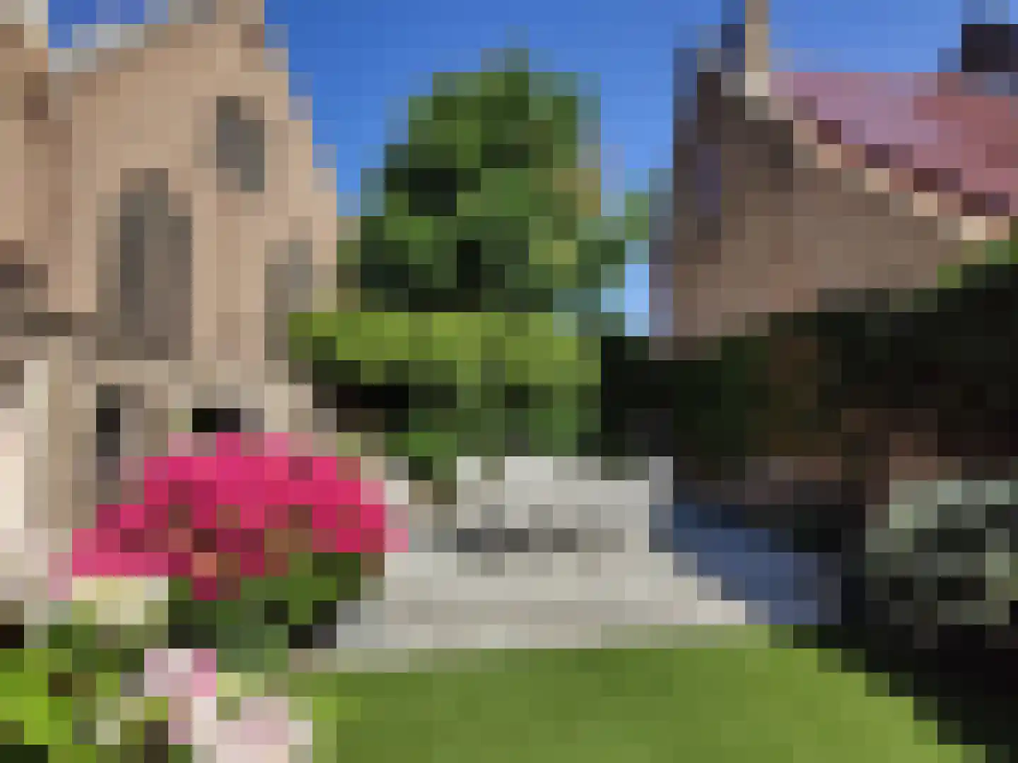 Marnixkade 4 Maassluis thumbnail 39