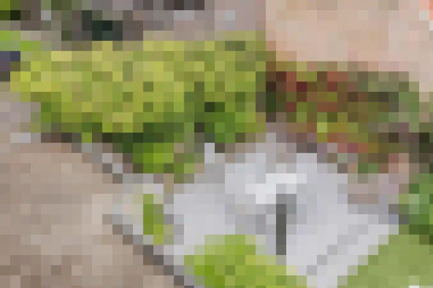 Marnixkade 4 Maassluis thumbnail 40