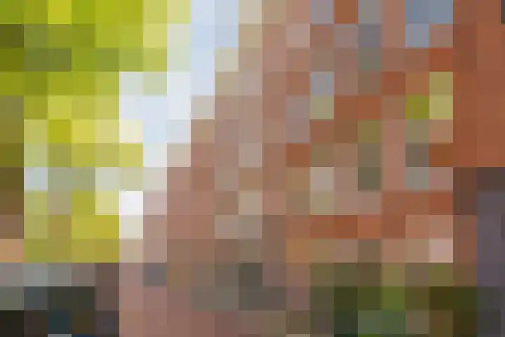 Marnixkade 51 4 Amsterdam thumbnail 16