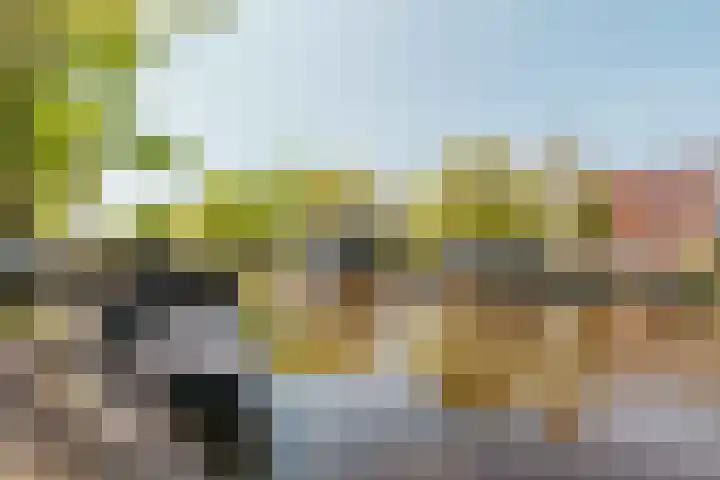 Marnixkade 51 4 Amsterdam thumbnail 21