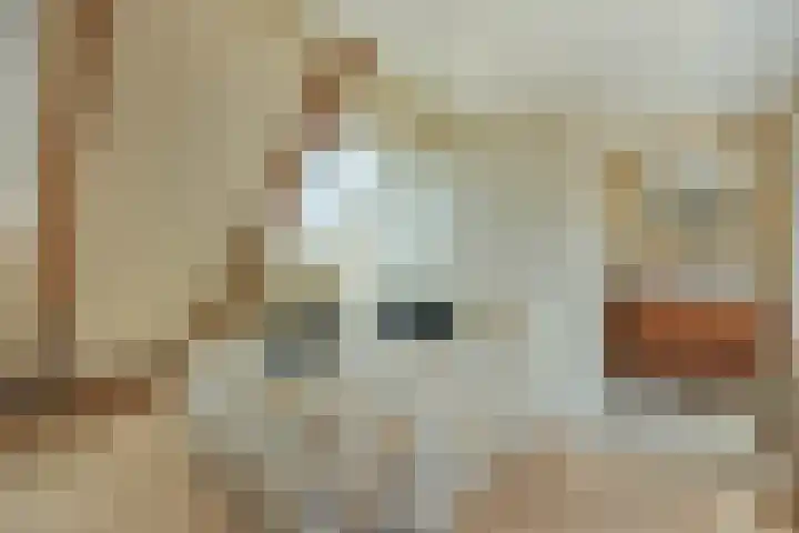 Marnixkade 51 4 Amsterdam thumbnail 9