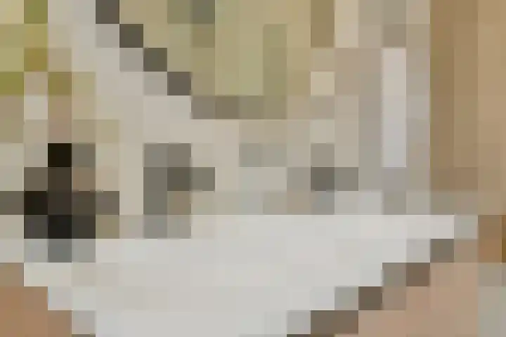Marnixkade 57 3 Amsterdam thumbnail 20