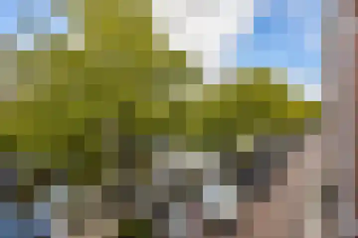 Marnixkade 57 3 Amsterdam thumbnail 23