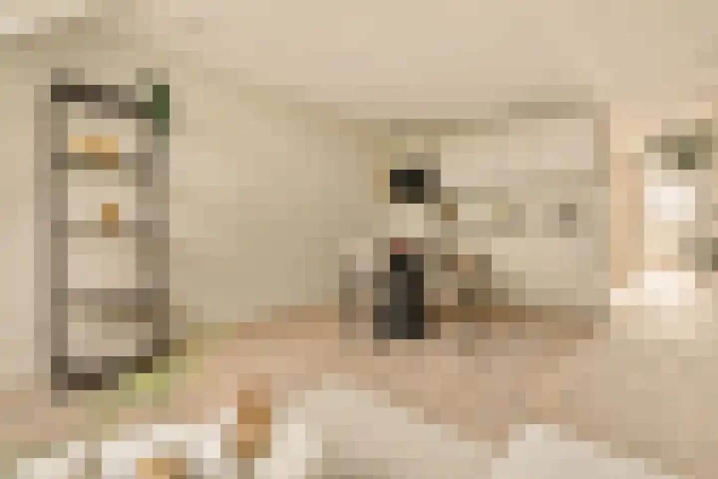 Marnixkade 57 4 Amsterdam thumbnail 8