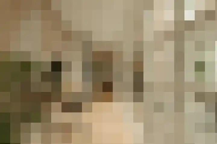 Marnixkade 60 3 Amsterdam thumbnail 22