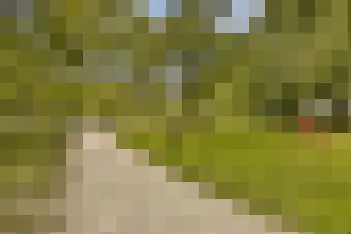 Marnixkade 70 1V Amsterdam thumbnail 16