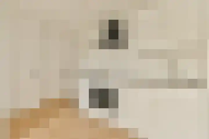 Marnixkade 70 1V Amsterdam thumbnail 7