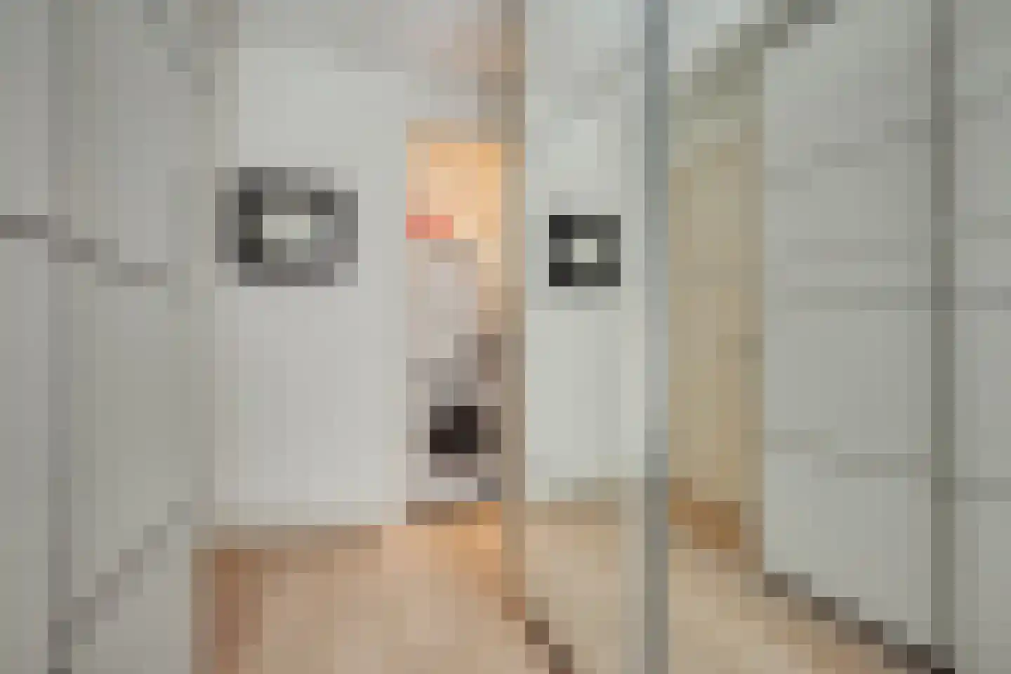 Marnixkade 88 C Amsterdam thumbnail 22