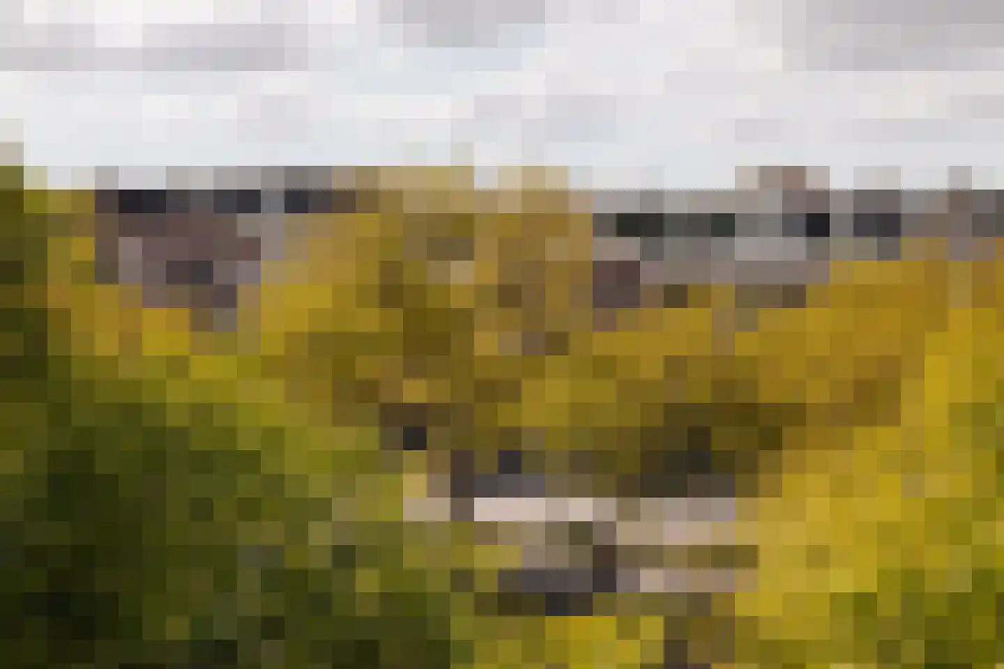 Marnixkade 93 D Amsterdam thumbnail 16