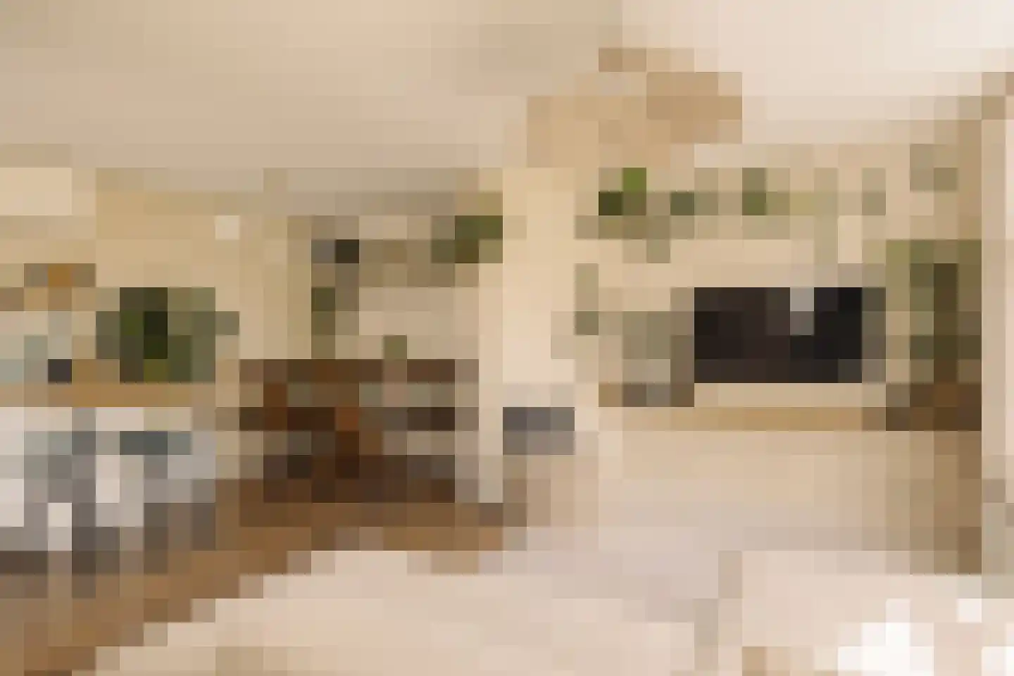Marnixkade 93 D Amsterdam thumbnail 7