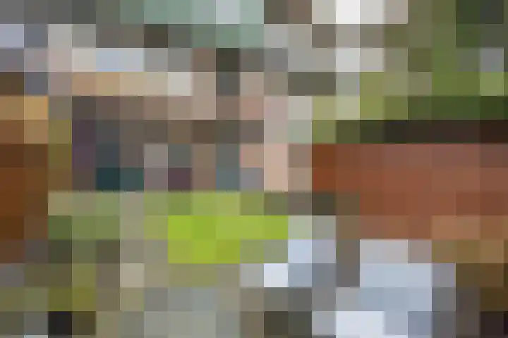 Marnixlaan 104 Utrecht thumbnail 19