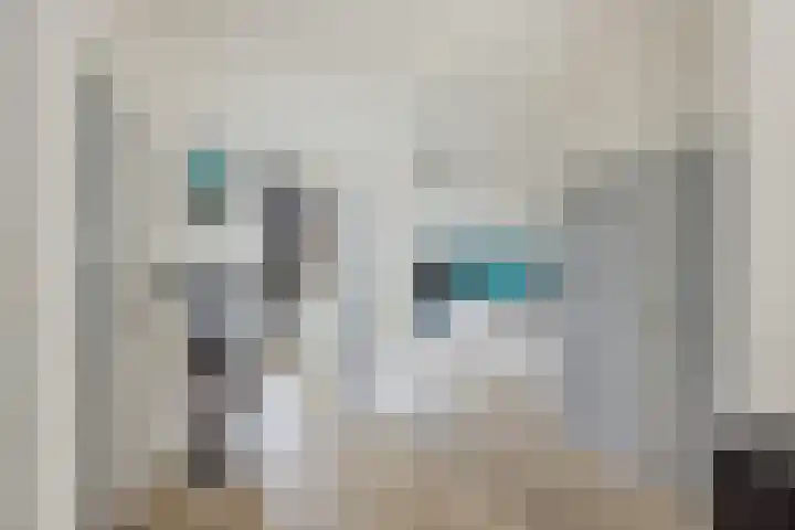 Marnixlaan 104 Utrecht thumbnail 9