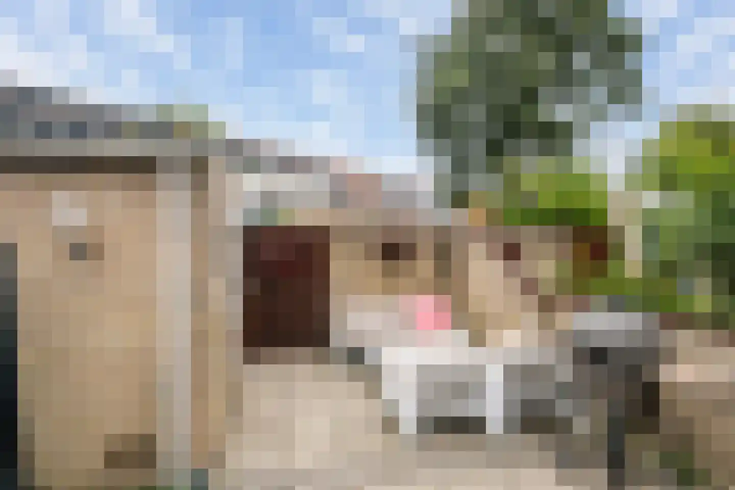 Marnixlaan 11 's-Gravenzande thumbnail 26