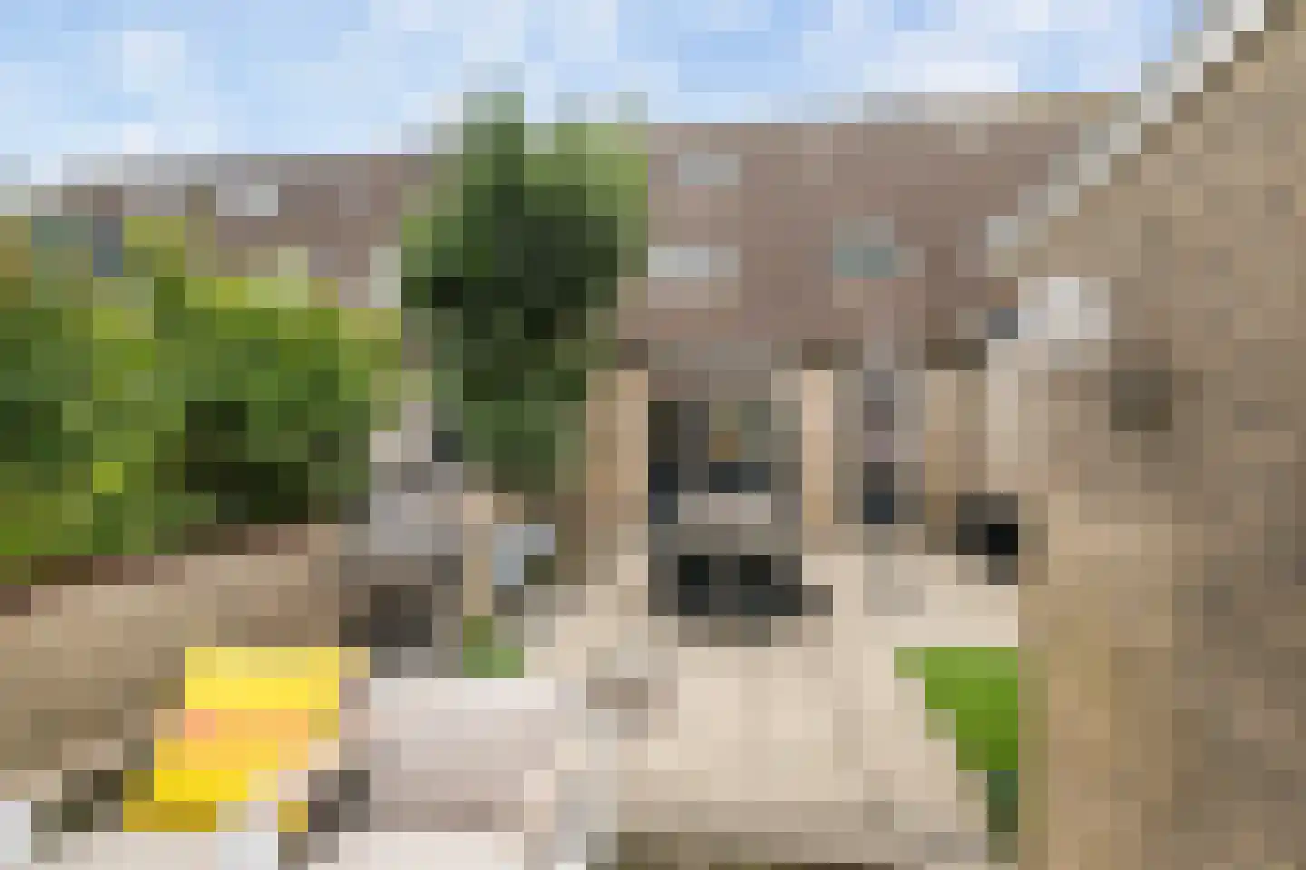 Marnixlaan 11 's-Gravenzande thumbnail 7
