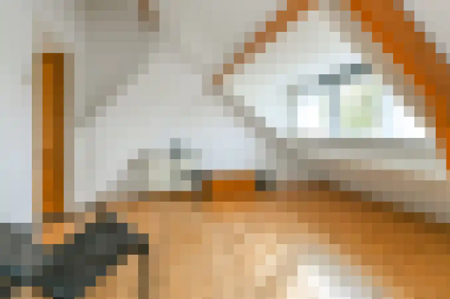 Marnixlaan 13 Driehuis NH thumbnail 32