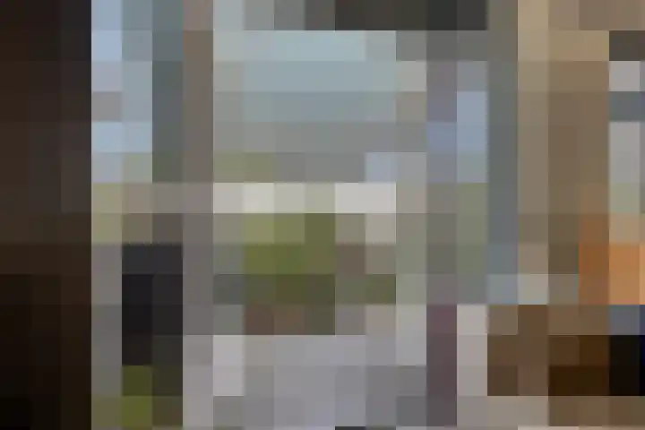 Marnixlaan 20 A Utrecht thumbnail 16