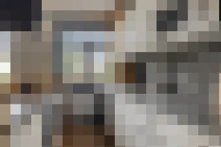 Marnixlaan 20 A Utrecht thumbnail 19