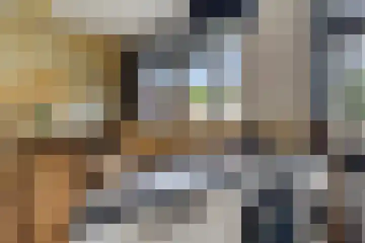 Marnixlaan 20 A Utrecht thumbnail 20