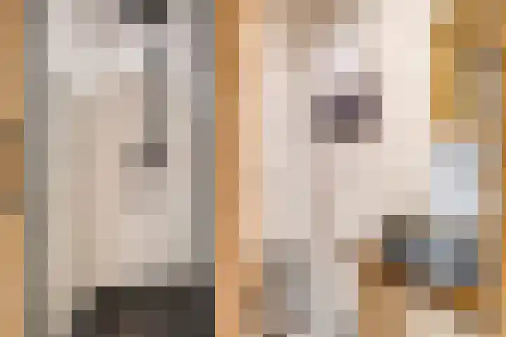 Marnixlaan 20 A Utrecht thumbnail 4