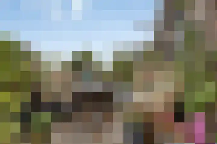 Marnixlaan 20 A Utrecht thumbnail 5