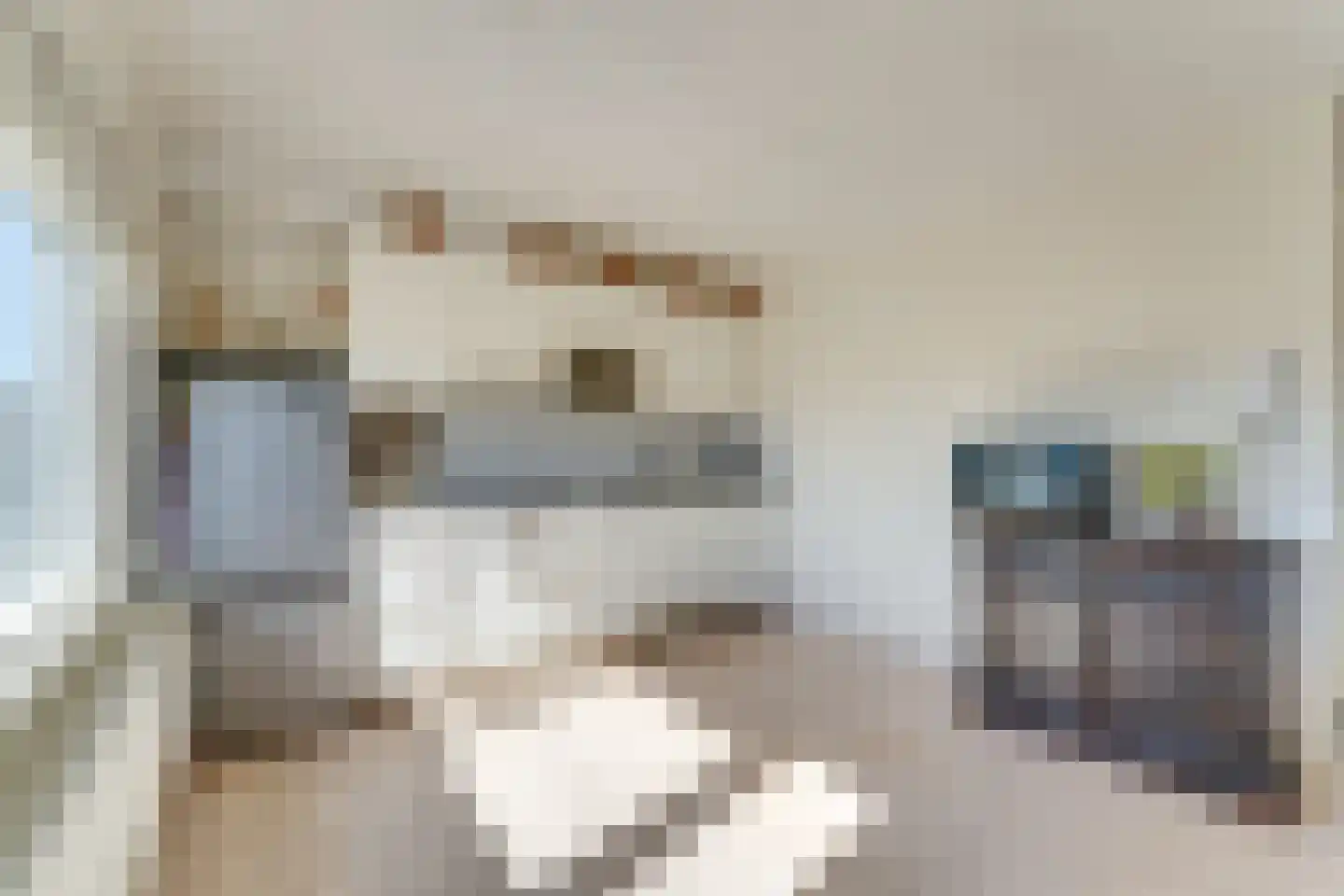 Marnixlaan 20 B Utrecht thumbnail 5