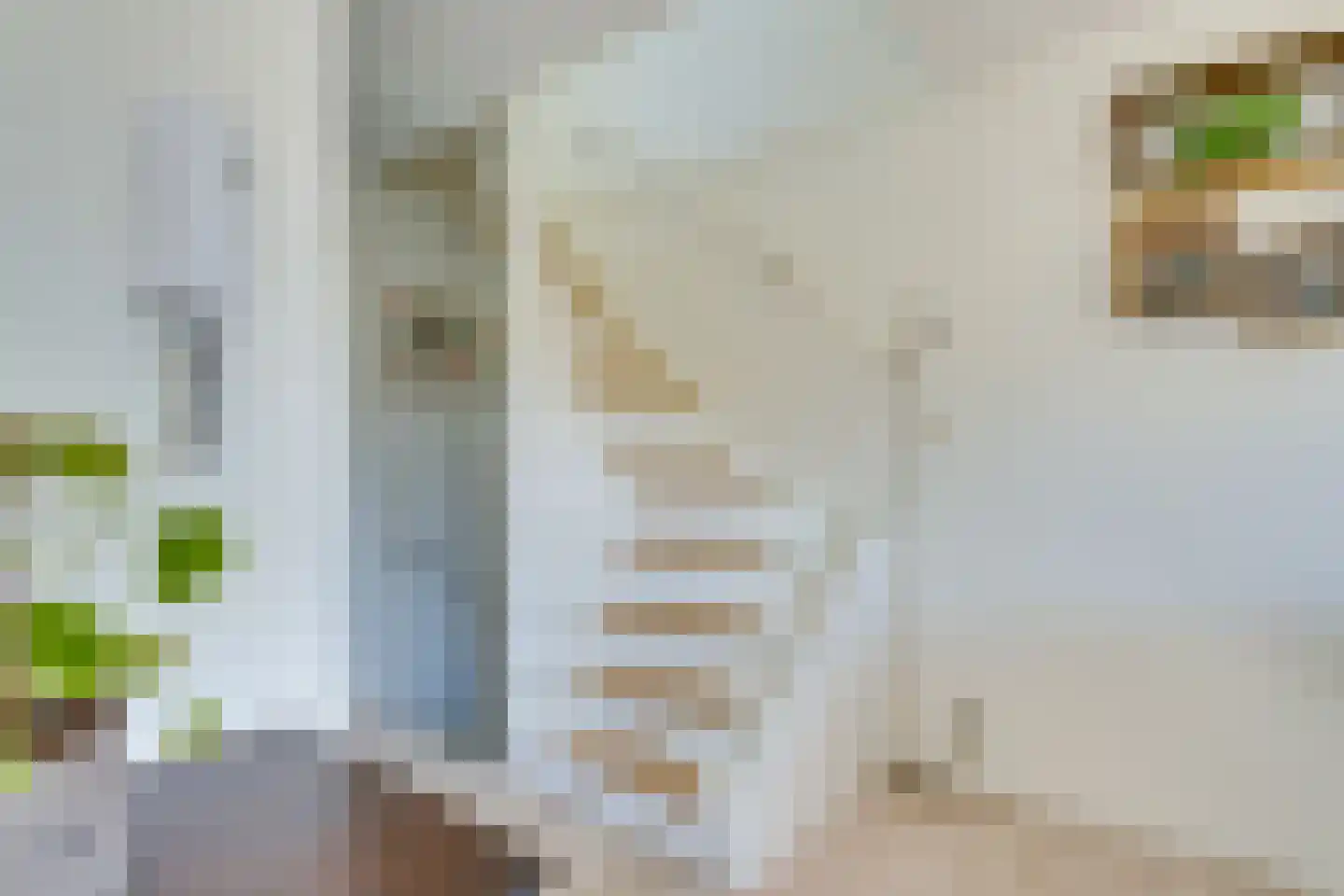 Marnixlaan 20 B Utrecht thumbnail 8