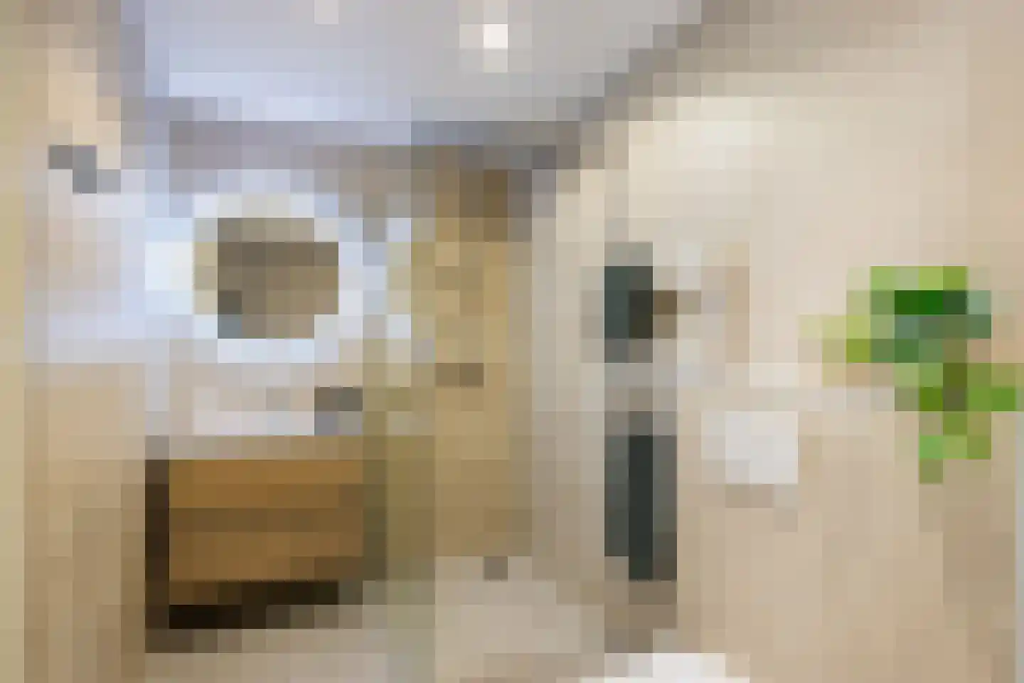Marnixlaan 230 Utrecht thumbnail 25