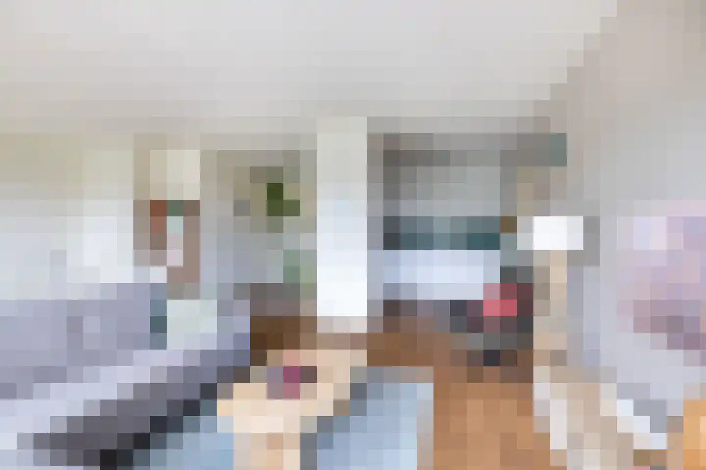Marnixlaan 230 Utrecht thumbnail 8