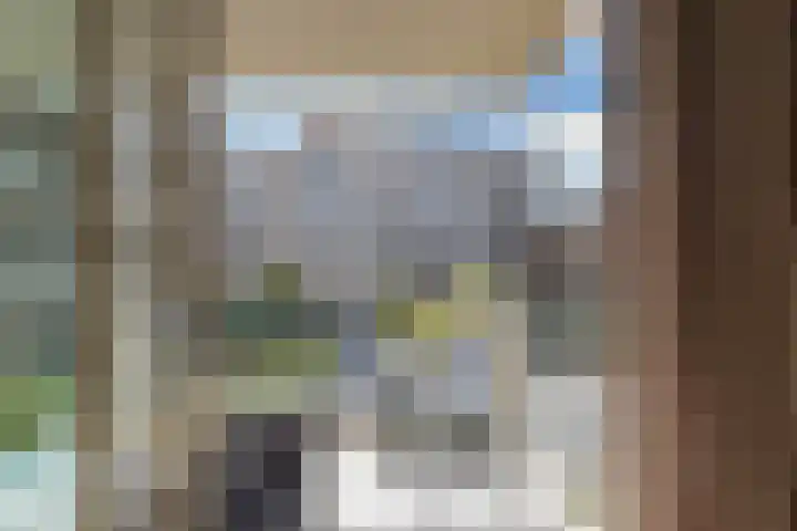 Marnixlaan 238 B Utrecht thumbnail 17