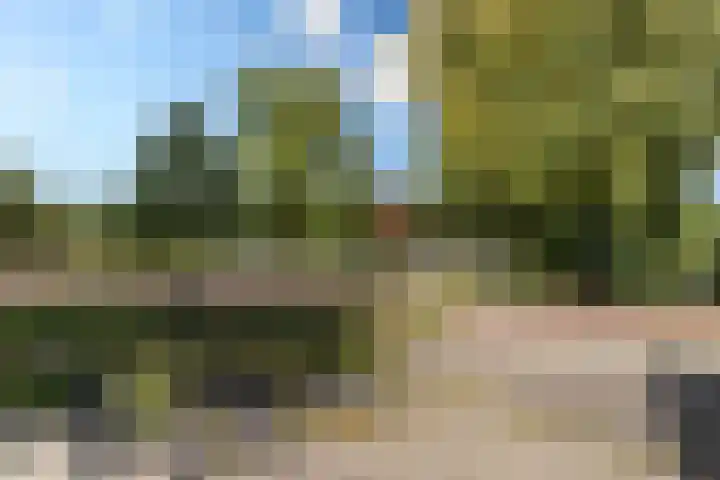Marnixlaan 238 B Utrecht thumbnail 30