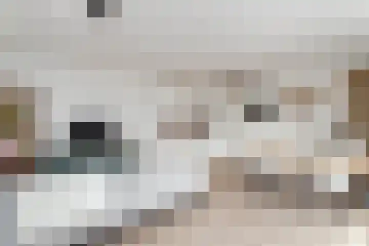 Marnixlaan 238 B Utrecht thumbnail 6
