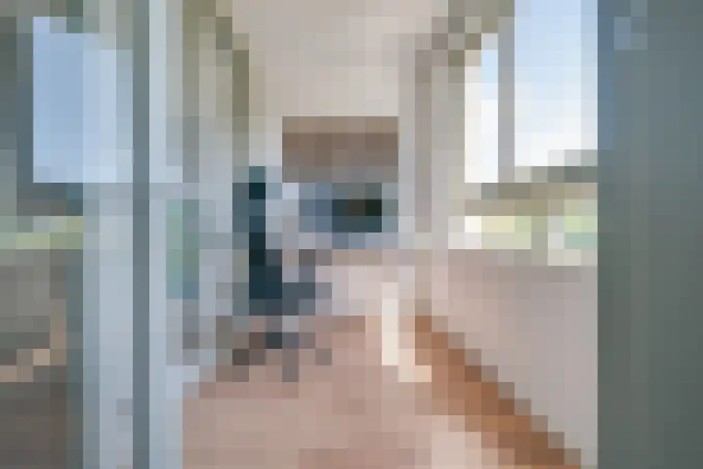 Marnixlaan 240 Utrecht thumbnail 11