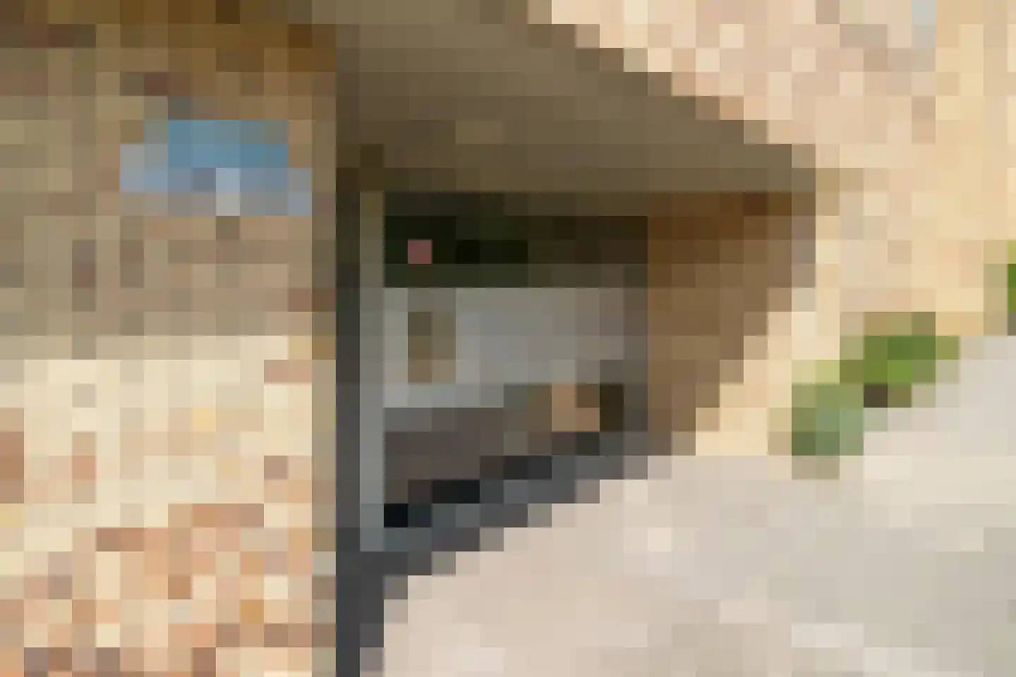 Marnixlaan 240 Utrecht thumbnail 24