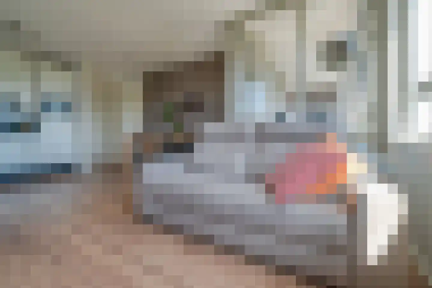 Marnixlaan 240 Utrecht thumbnail 7