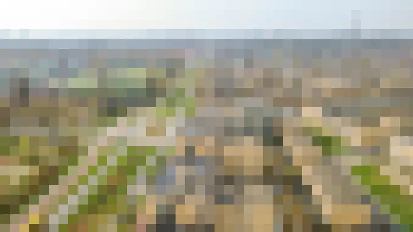 Marnixlaan 242 B Utrecht thumbnail 27