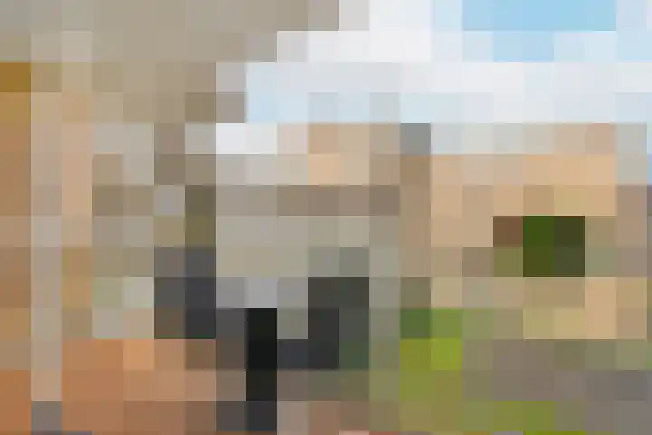 Marnixlaan 258 B Utrecht thumbnail 11