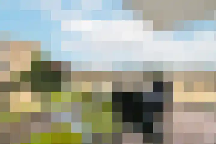 Marnixlaan 258 B Utrecht thumbnail 12