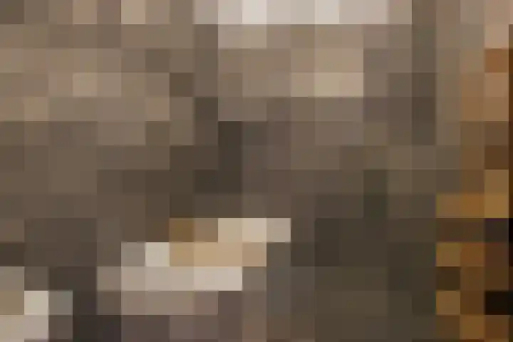 Marnixlaan 258 B Utrecht thumbnail 18