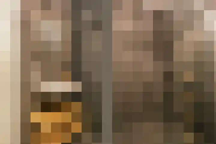 Marnixlaan 258 B Utrecht thumbnail 19