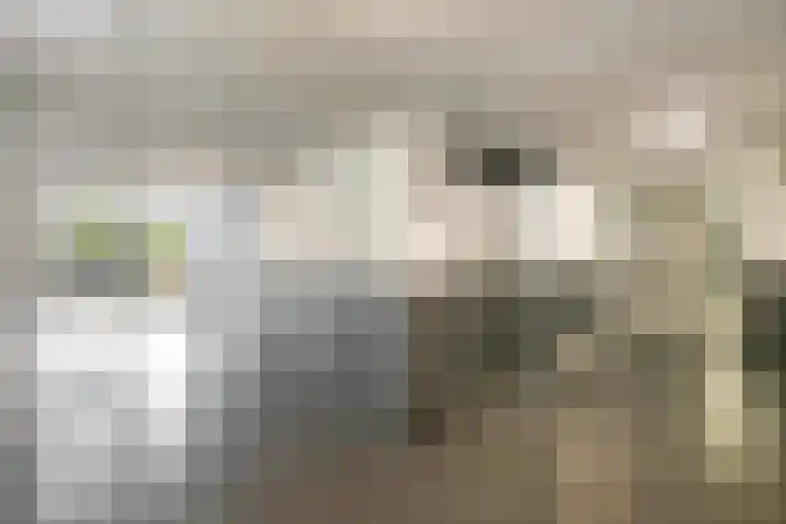 Marnixlaan 258 B Utrecht thumbnail 26