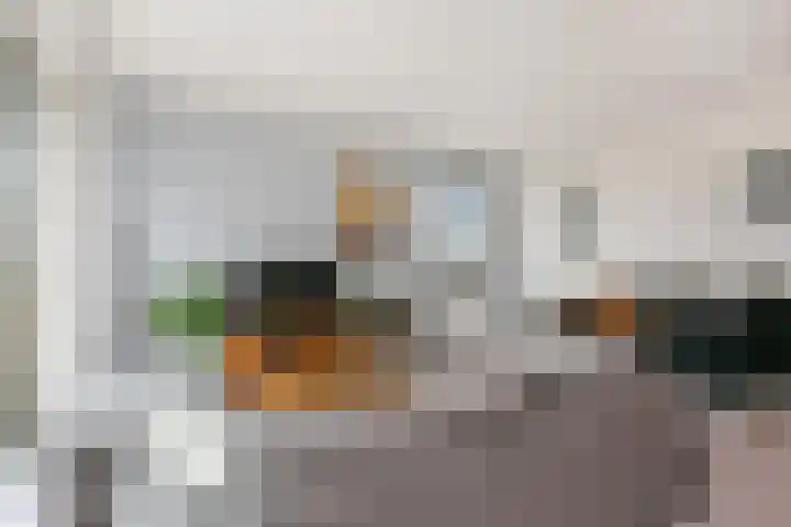 Marnixlaan 258 B Utrecht thumbnail 4