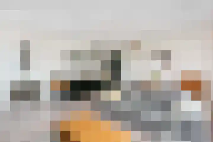 Marnixlaan 258 B Utrecht thumbnail 6