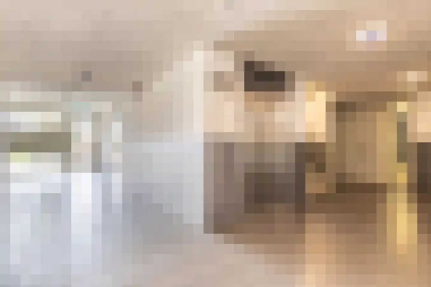 Marnixlaan 258 C Utrecht thumbnail 28
