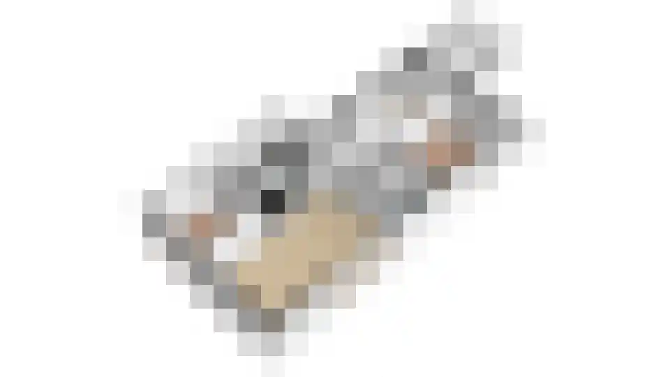 Marnixlaan 262 A Utrecht thumbnail 56