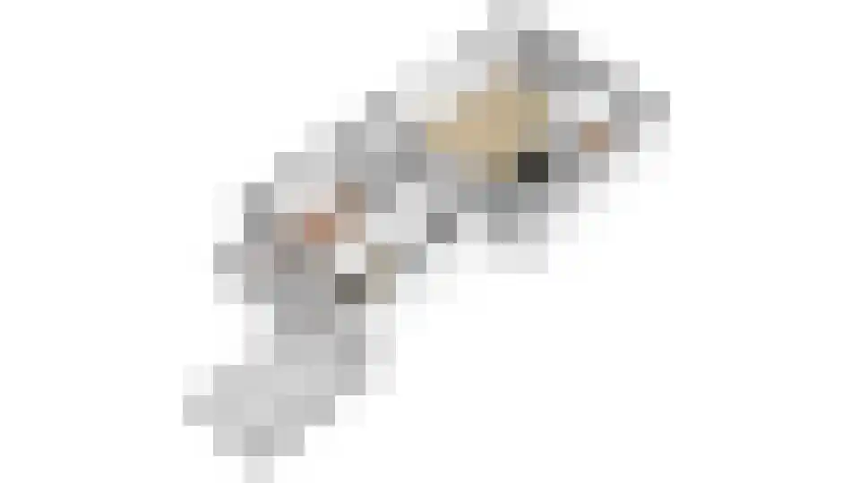 Marnixlaan 262 B Utrecht thumbnail 55